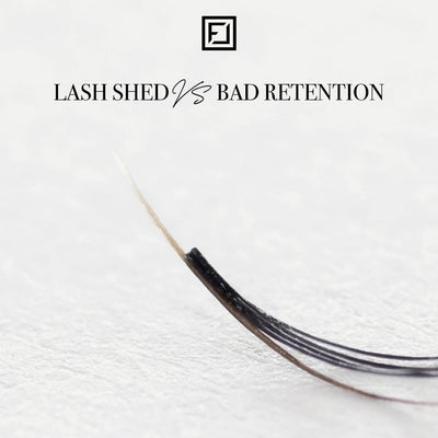 Lash Shedding Season