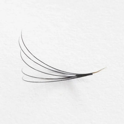 Why eyelash extensions keep falling out